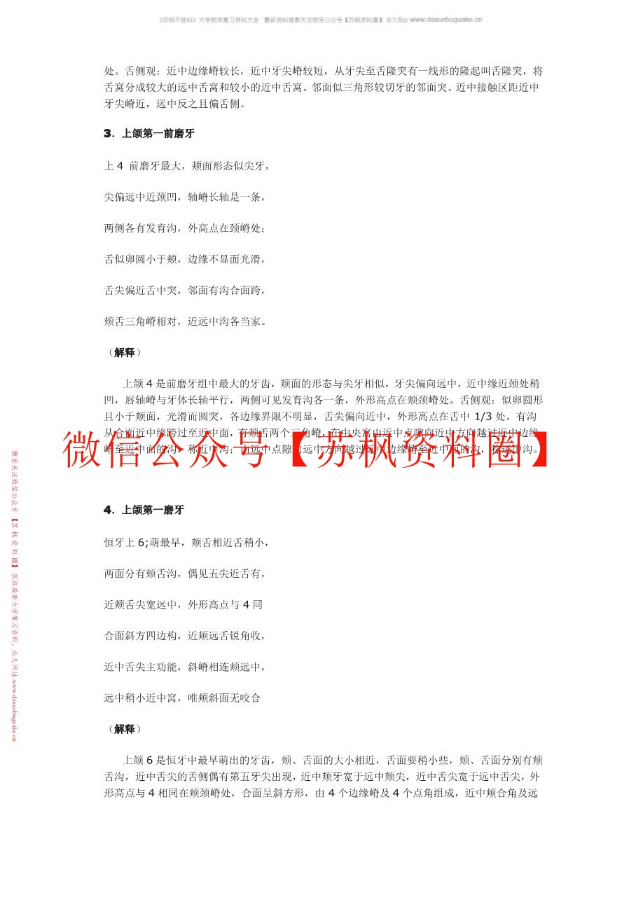 牙体形态学